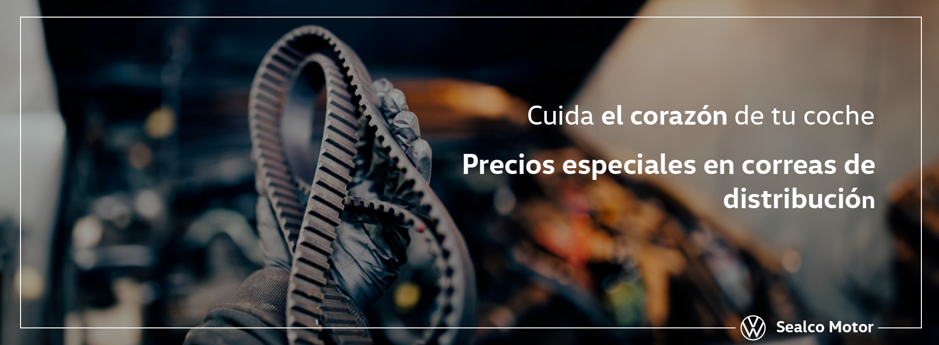 Correas de distribución